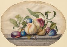 Fruit Arrangement: Peaches and Plumbs on a Slab of Marble, 1742. Creator: Georg Dionysius Ehret (German, 1708-1770)