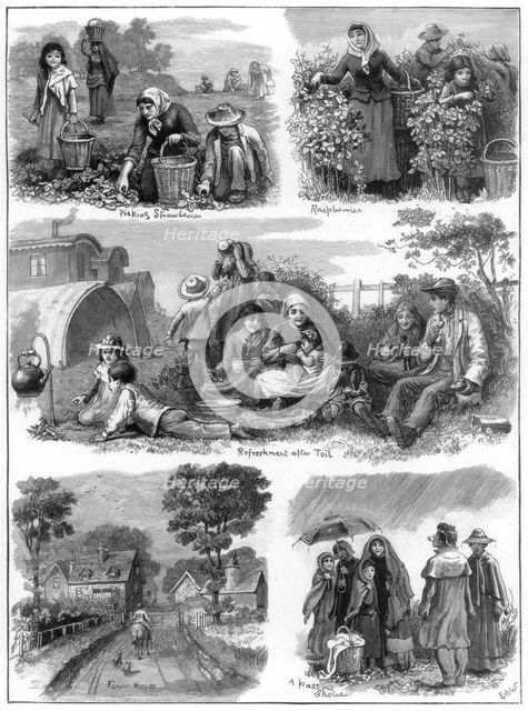 Fruit gatherers, 1899. Artist: Unknown