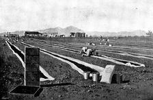 Fruit-Growing in California: drying prunes, 1895. Creator: George Meisenbach