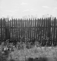 Fruit jars being sterilized near Conway, Arkansas, 1938. Creator: Dorothea Lange