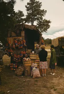 Fruit wagon at the Pie Town, New Mexico Fair, 1940. Creator: Russell Lee