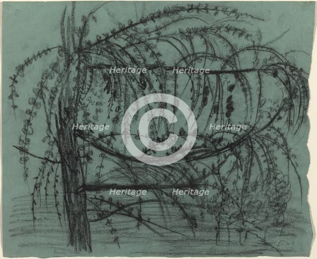 Fruit Tree in Bloom, 1900/1902. Creator: Paula Modersohn-Becker.