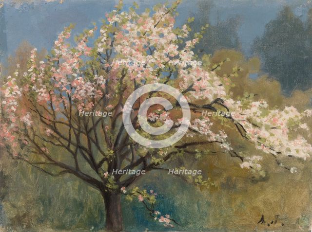 Fruit Tree in Blossom, c1900s. Creator: Arvid Jarnefelt.