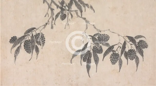 Fruit, unknown date, c1450-1509. Creator: Shen Zhou.