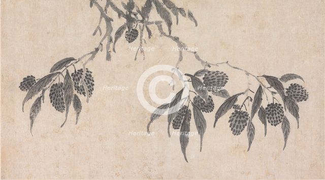 Fruit, unknown date, c1450-1509. Creator: Shen Zhou.