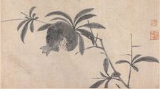 Fruit, unknown date, c1450-1509. Creator: Shen Zhou