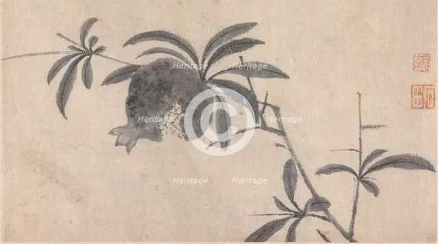 Fruit, unknown date, c1450-1509. Creator: Shen Zhou.