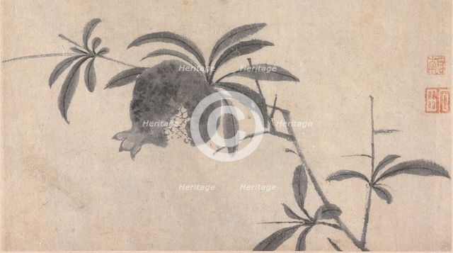Fruit, unknown date, c1450-1509. Creator: Shen Zhou.