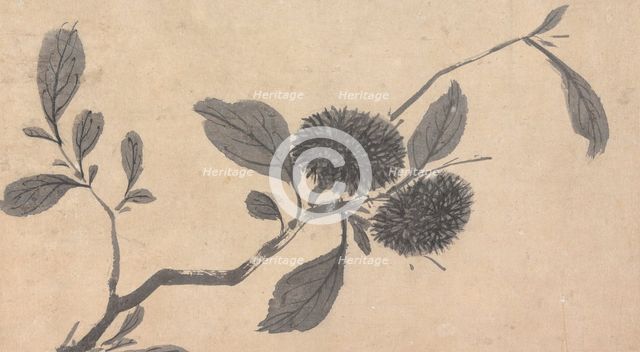 Fruit, unknown date, c1450-1509. Creator: Shen Zhou.