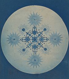 [Frustules of Diatoms], ca. 1870. Creator: Attributed to Julius Wiesner