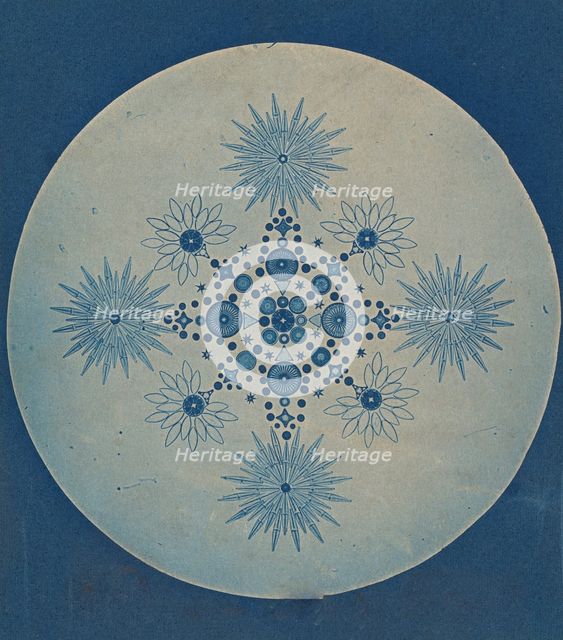 [Frustules of Diatoms], ca. 1870. Creator: Attributed to Julius Wiesner.