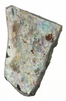 Fragment, Crusader, 13th century. Creator: Unknown
