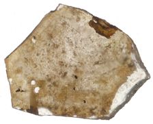 Fragment, Crusader, 13th century. Creator: Unknown