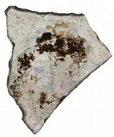 Fragment, Crusader, 13th century. Creator: Unknown
