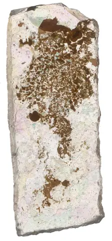Fragment, Crusader, 13th century. Creator: Unknown