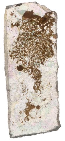 Fragment, Crusader, 13th century. Creator: Unknown