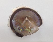 Fragment, European or Middle Eastern, ca. 1150-ca. 1250. Creator: Unknown