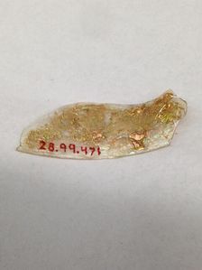 Fragment, European or Middle Eastern, ca. 1150-ca. 1250. Creator: Unknown