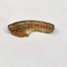 Fragment, European or Middle Eastern, ca. 1150-ca. 1250. Creator: Unknown