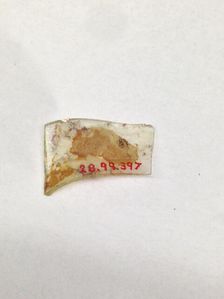 Fragment, European or Middle Eastern, ca. 1150-ca. 1250. Creator: Unknown