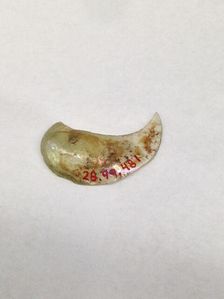 Fragment, European or Middle Eastern, ca. 1150-ca. 1250. Creator: Unknown