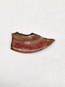 Fragment, European or Middle Eastern, ca. 1150-ca. 1250. Creator: Unknown