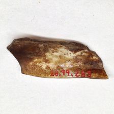 Fragment, European or Middle Eastern, ca. 1150-ca. 1250. Creator: Unknown