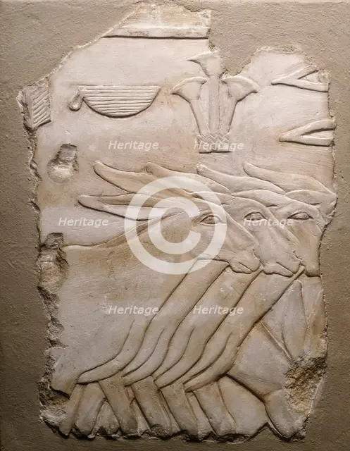 Fragment of a Tomb Wall Depicting Donkeys, Egypt, Old Kingdom, Dynasty 5 (about 2504-2347 BCE). Creator: Unknown.