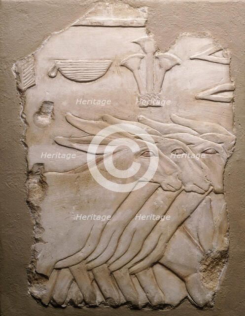 Fragment of a Tomb Wall Depicting Donkeys, Egypt, Old Kingdom, Dynasty 5 (about 2504-2347 BCE). Creator: Unknown.