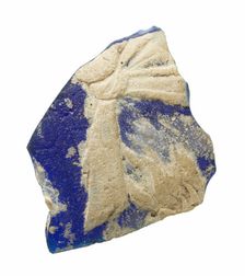 Fragment of a Vessel, 1st century. Creator: Unknown