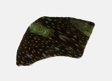 Fragment of a Bowl, 1st century BCE-1st century CE. Creator: Unknown