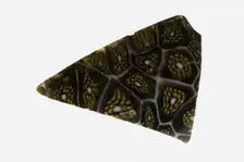 Fragment of a Bowl, 1st century BCE-1st century CE. Creator: Unknown