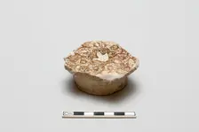 Fragment of a bowl with bird design, Saljuq period, early 13th century. Creator: Unknown