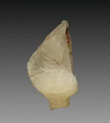 Fragment of a Cosmetic Dish, 1353-1337 BC. Creator: Unknown