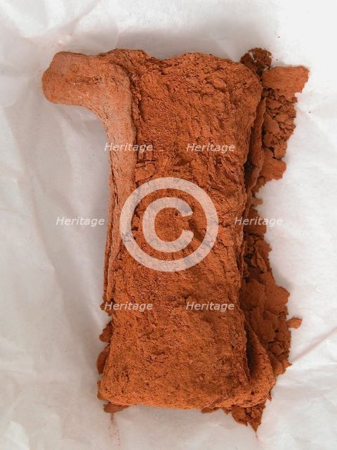 Fragment of a Figure, Coptic, 4th-7th century. Creator: Unknown.