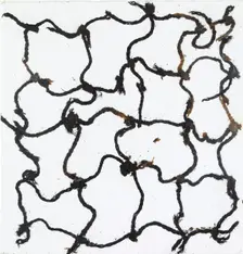 Fragment of a fishing net, Neolithic/Bronze Age (Switzerland), c3rd millenium BC