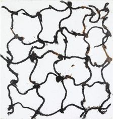 Fragment of a fishing net, Neolithic/Bronze Age (Switzerland), c3rd millenium BC