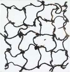 Fragment of a fishing net, Neolithic/Bronze Age (Switzerland), c3rd millenium BC