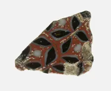 Fragment of a Floral Inlay, Roman Empire, Ptolemaic Period-Roman Period, (1st century BCE-1st cent.. Creator: Unknown