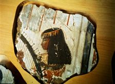 Fragment of a fresco from Thebes, showing a woman playing the harp