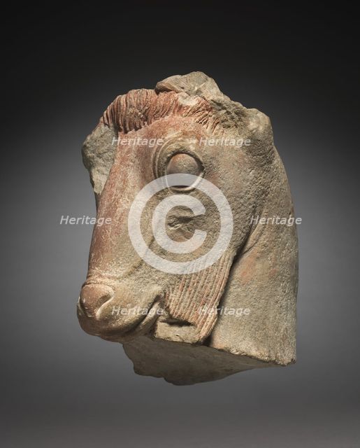 Fragment of a Goat's Head, c. 500 BC. Creator: Unknown.