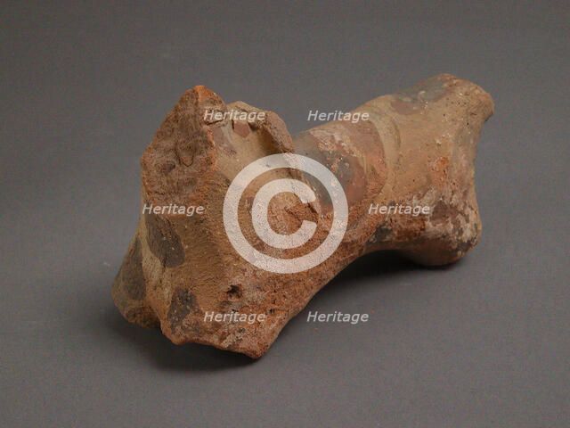 Fragment of a Horse, Coptic, 4th-7th century. Creator: Unknown.