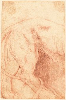 Fragment of a Lion Bas-Relief (verso), 1750s. Creator: Giovanni Battista Piranesi