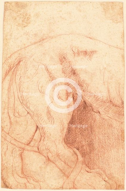 Fragment of a Lion Bas-Relief (verso), 1750s. Creator: Giovanni Battista Piranesi.