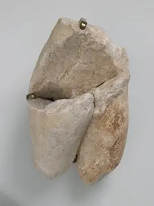 Fragment of a Male Torso, Coptic, 4th-7th century. Creator: Unknown