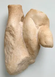 Fragment of a Male Torso with a Tree Trunk, Coptic, 4th-7th century. Creator: Unknown
