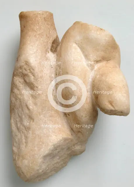 Fragment of a Male Torso with a Tree Trunk, Coptic, 4th-7th century. Creator: Unknown.
