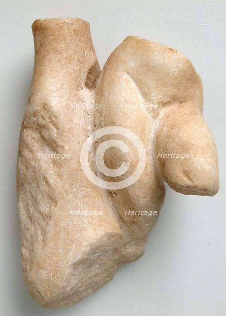 Fragment of a Male Torso with a Tree Trunk, Coptic, 4th-7th century. Creator: Unknown.