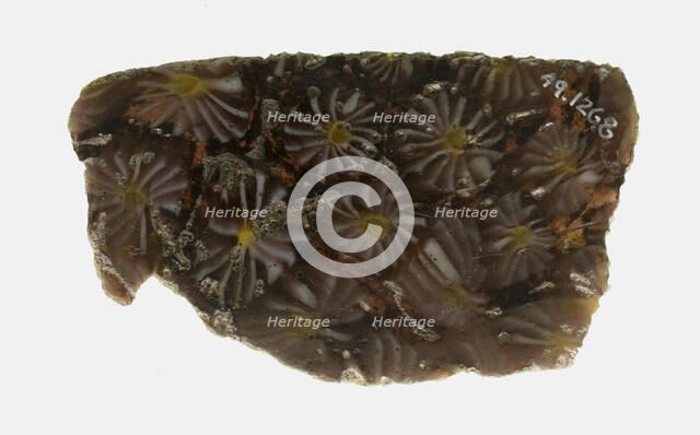 Fragment of a Plate, 1st century BCE-1st century CE. Creator: Unknown.