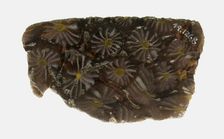 Fragment of a Plate, 1st century BCE-1st century CE. Creator: Unknown